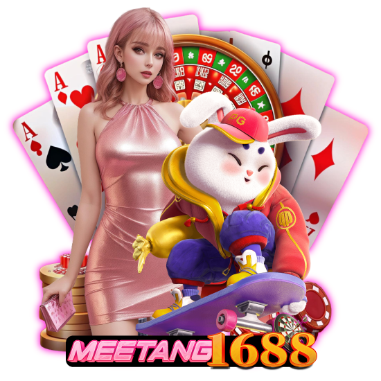 meetang1688